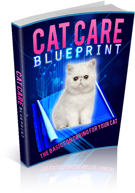 Cat Care Blueprint