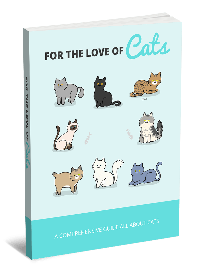For The Love Of Cats