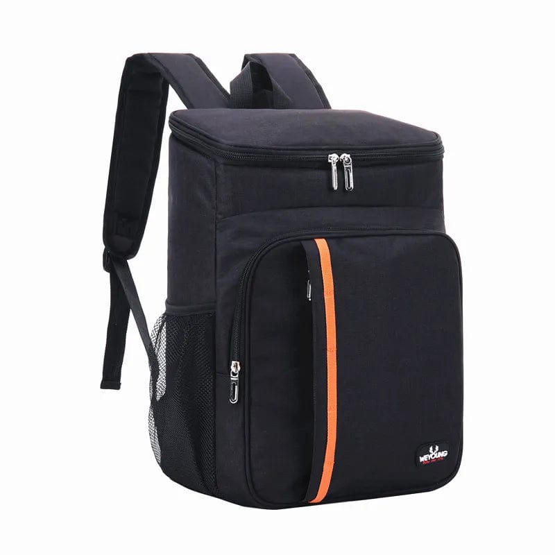 Waterproof 20 Litre Portable Thermal Lunch Food Bag 