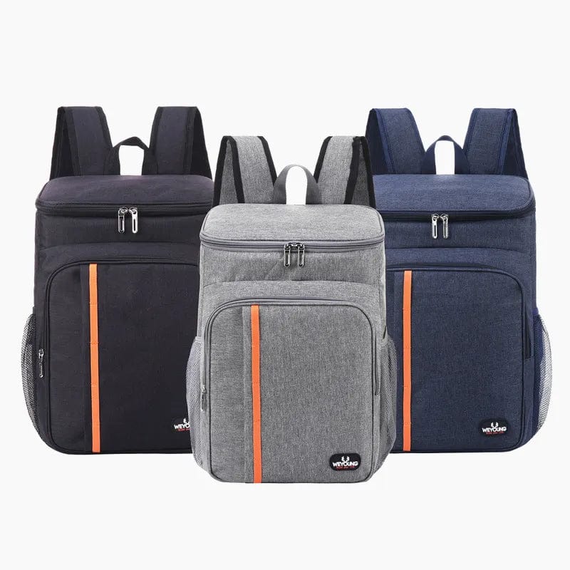 Waterproof 20 Litre Portable Thermal Lunch Food Bag 