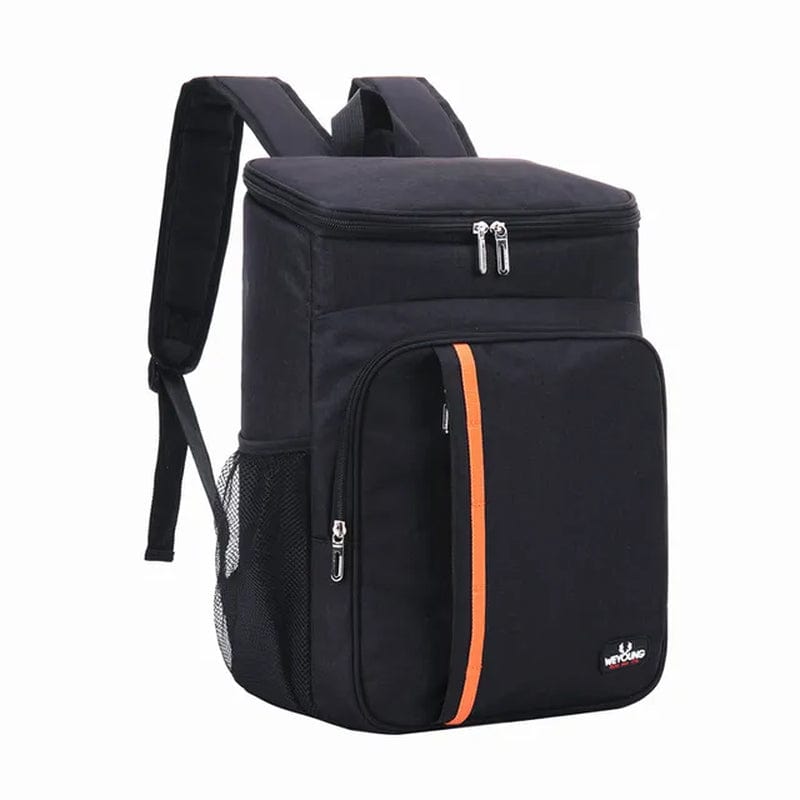 Waterproof 20 Litre Portable Thermal Lunch Food Bag 