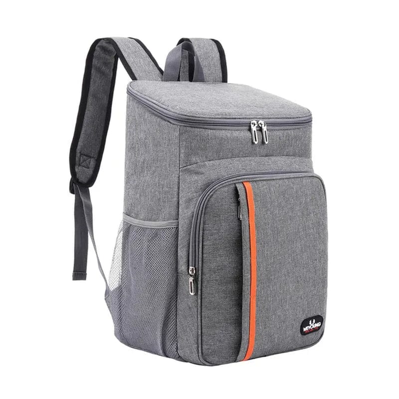 Waterproof 20 Litre Portable Thermal Lunch Food Bag 